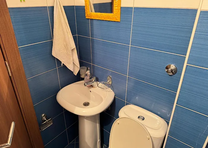 Apartament Radomirovic *